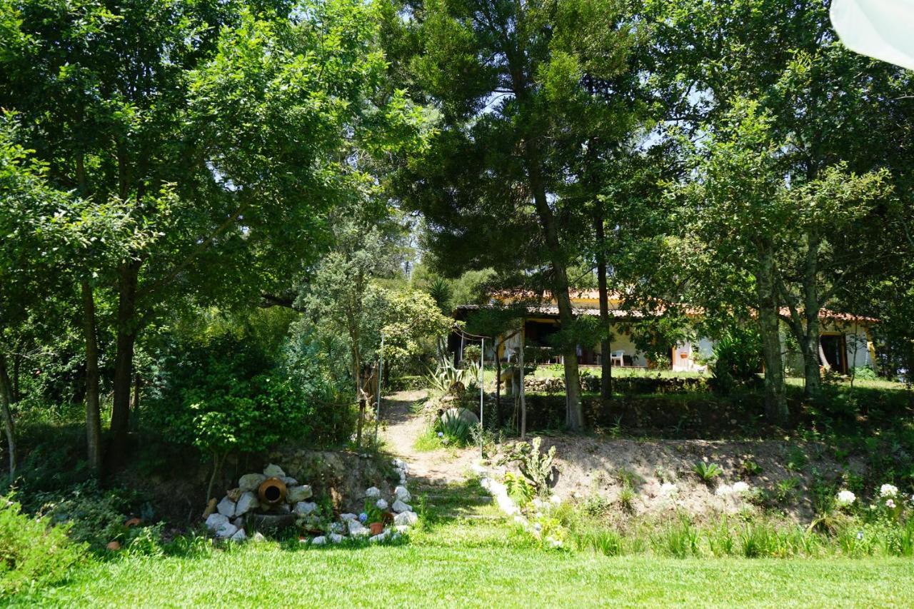 Вилла Quinta Do Vale Grande Албергария-а-Велья Экстерьер фото