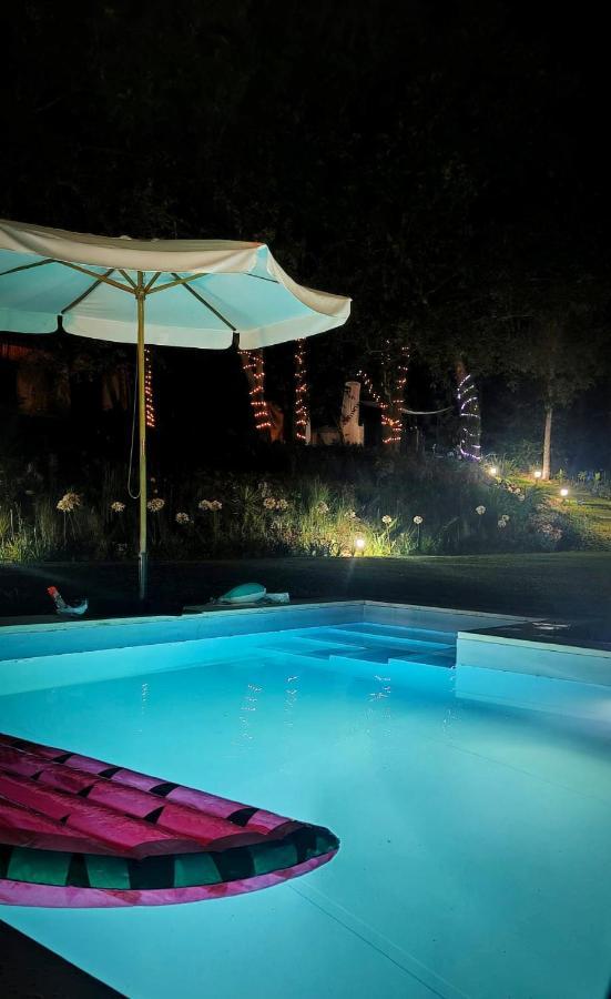 Вилла Quinta Do Vale Grande Албергария-а-Велья Экстерьер фото