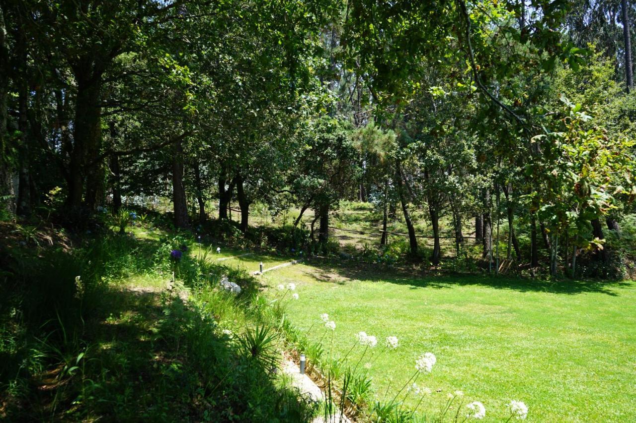 Вилла Quinta Do Vale Grande Албергария-а-Велья Экстерьер фото