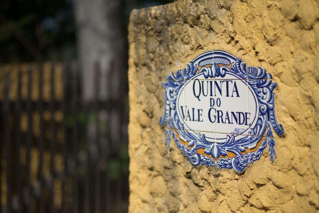 Вилла Quinta Do Vale Grande Албергария-а-Велья Экстерьер фото